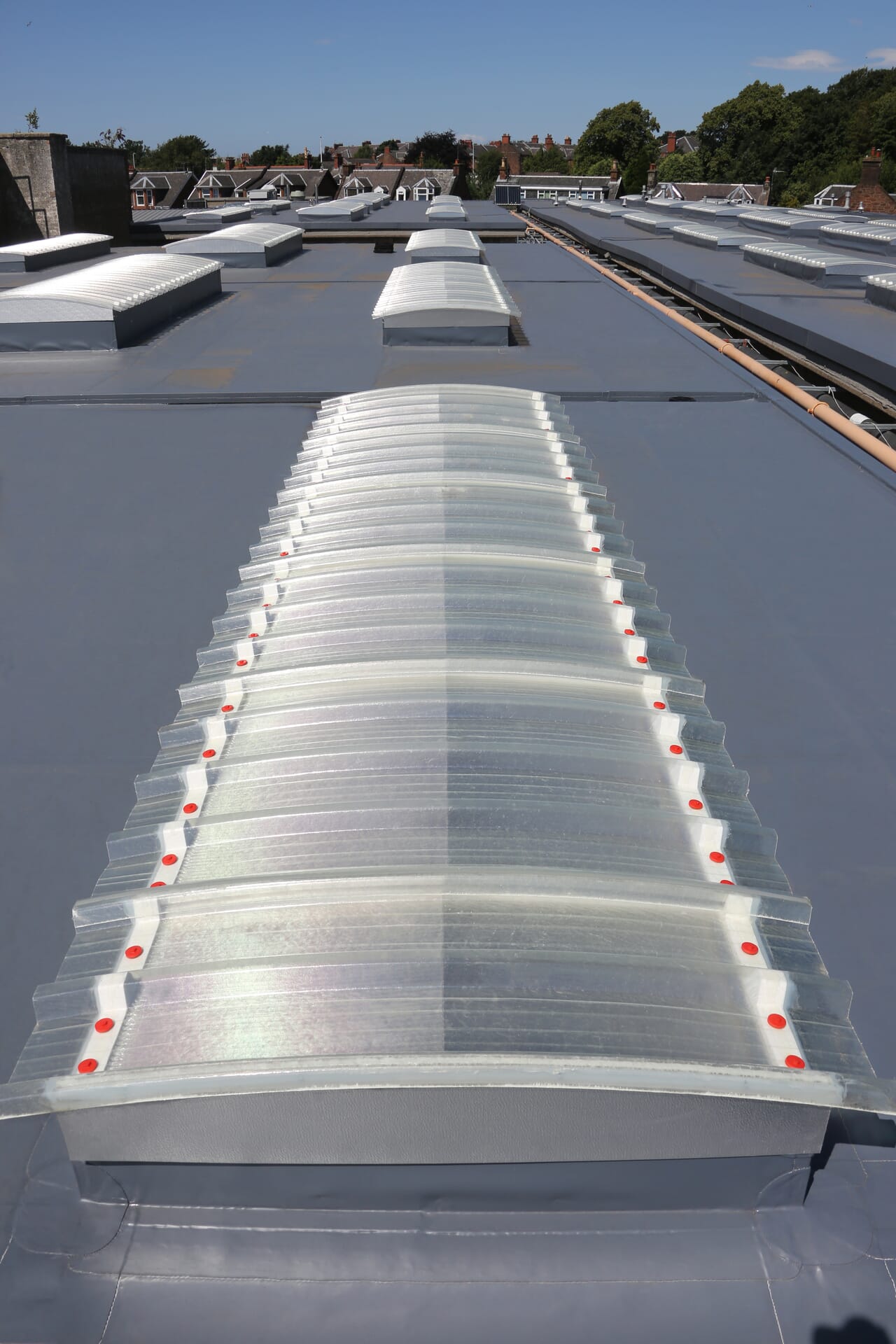 rb_Ayr-College_14781