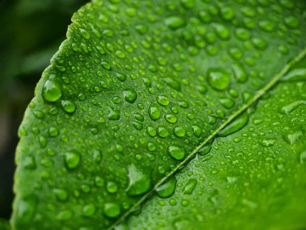 fe1234321-KwxfSWnabwE-unsplash (Medium)